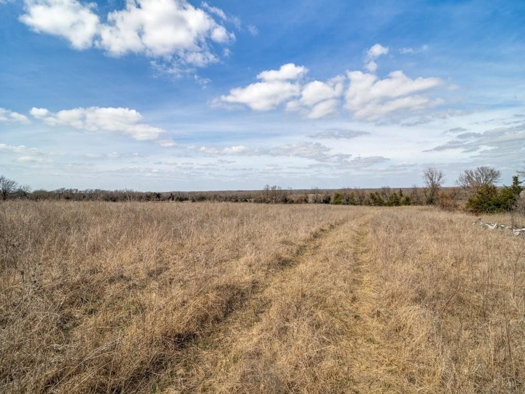 69.8 acres in Delta County - photo 7