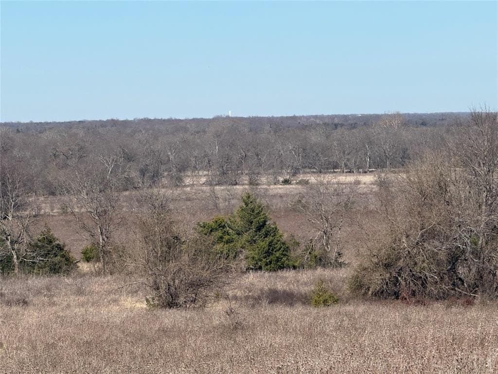 69.8 acres in Delta County - photo 8
