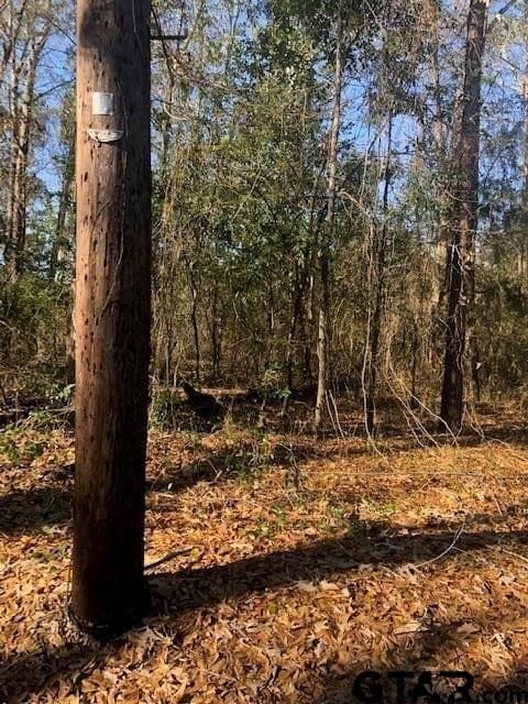 0.02 acres in Rusk County - photo 2