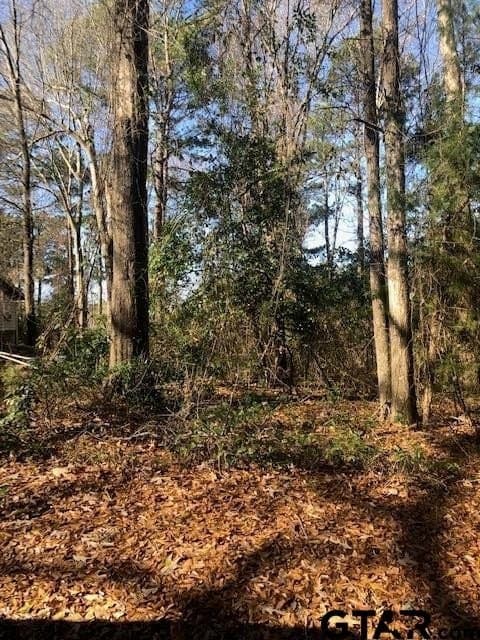 0.02 acres in Rusk County - photo 5