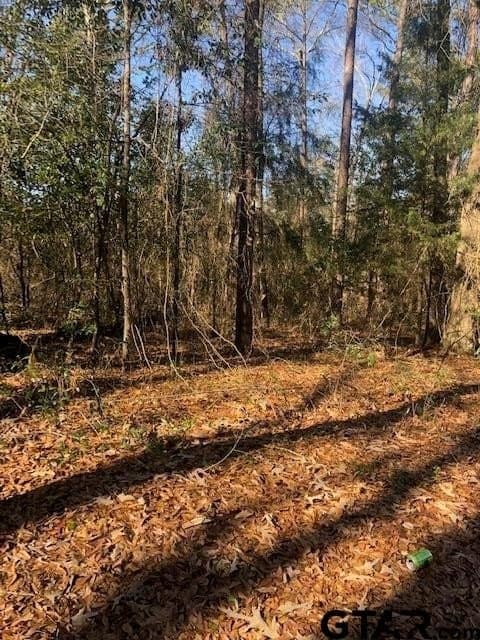 0.02 acres in Rusk County - photo 3