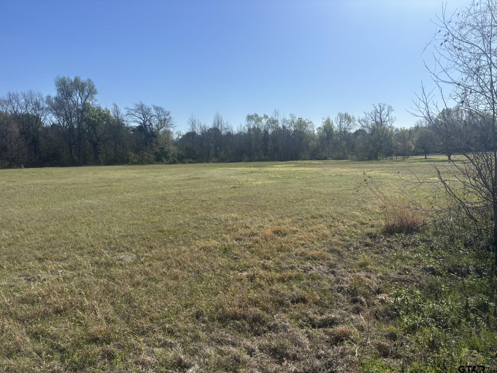 1.01 acres in Camp County - photo 3