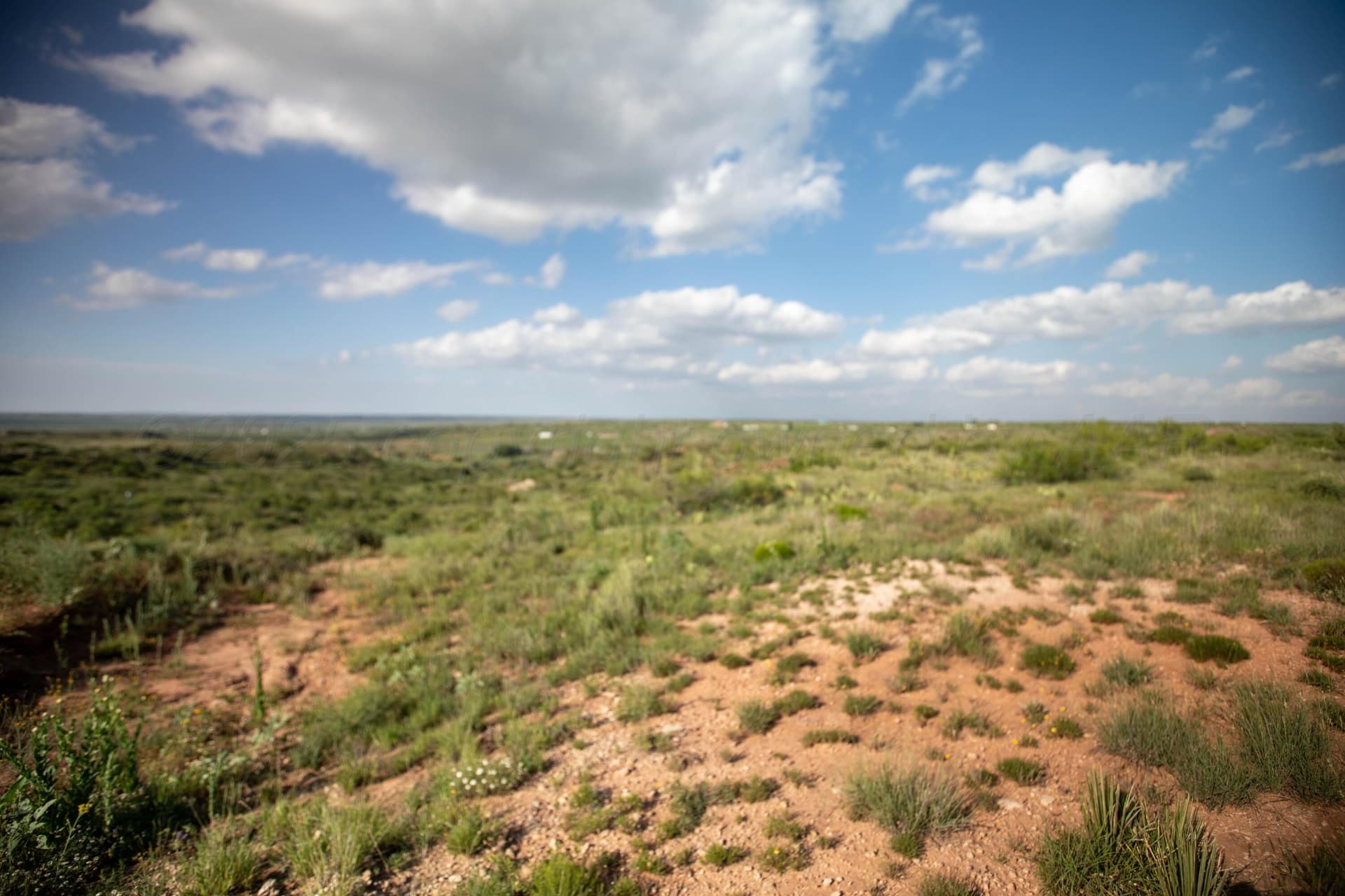 12.59 acres in Potter County - photo 4