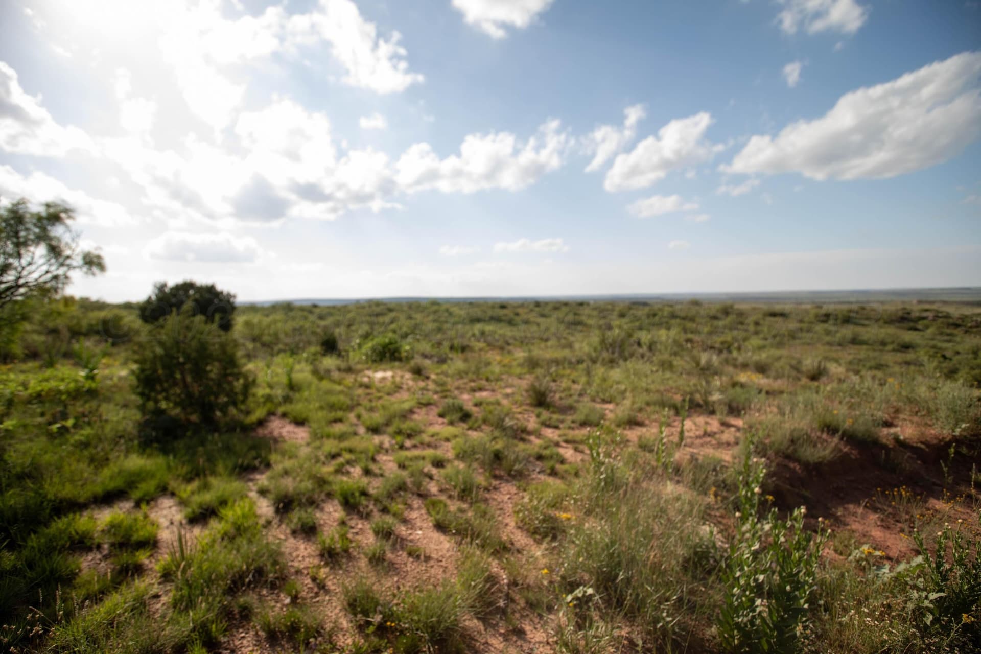 12.59 acres in Potter County - photo 3