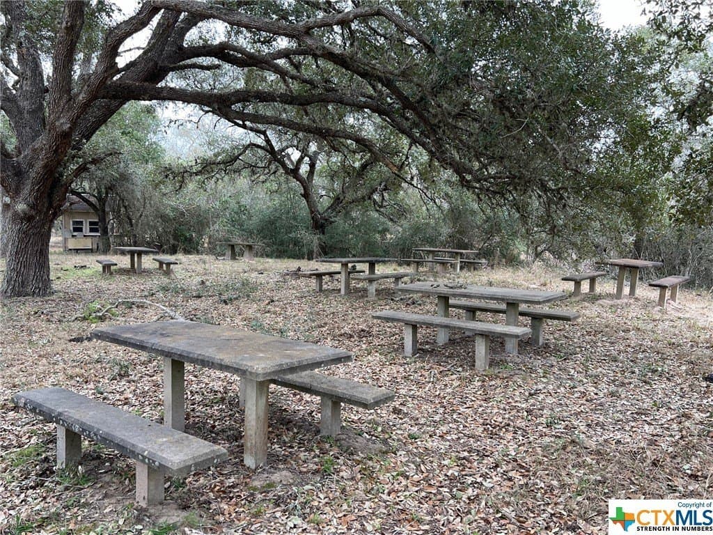 92.66 acres in Victoria County - photo 4