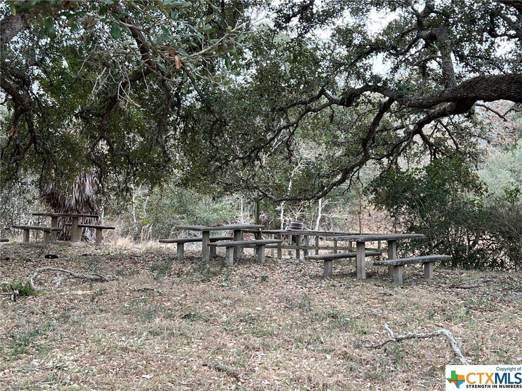 92.66 acres in Victoria County - photo 3