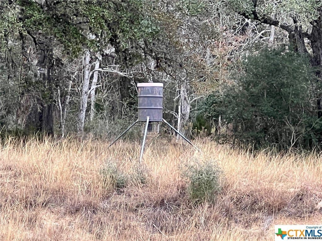 92.66 acres in Victoria County - photo 2
