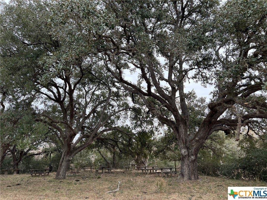 92.66 acres in Victoria County - photo 9