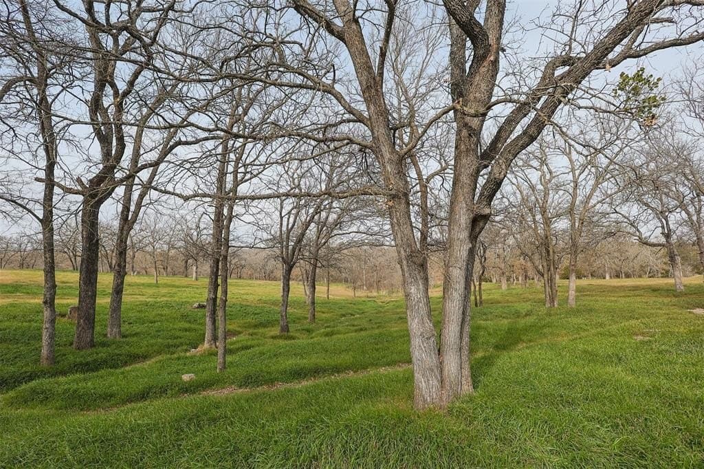 19.99 acres in Wise County - photo 26