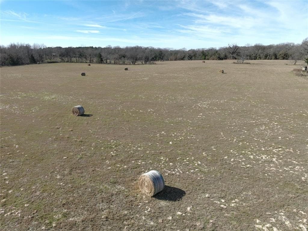 232.98 acres in Wood County - photo 9
