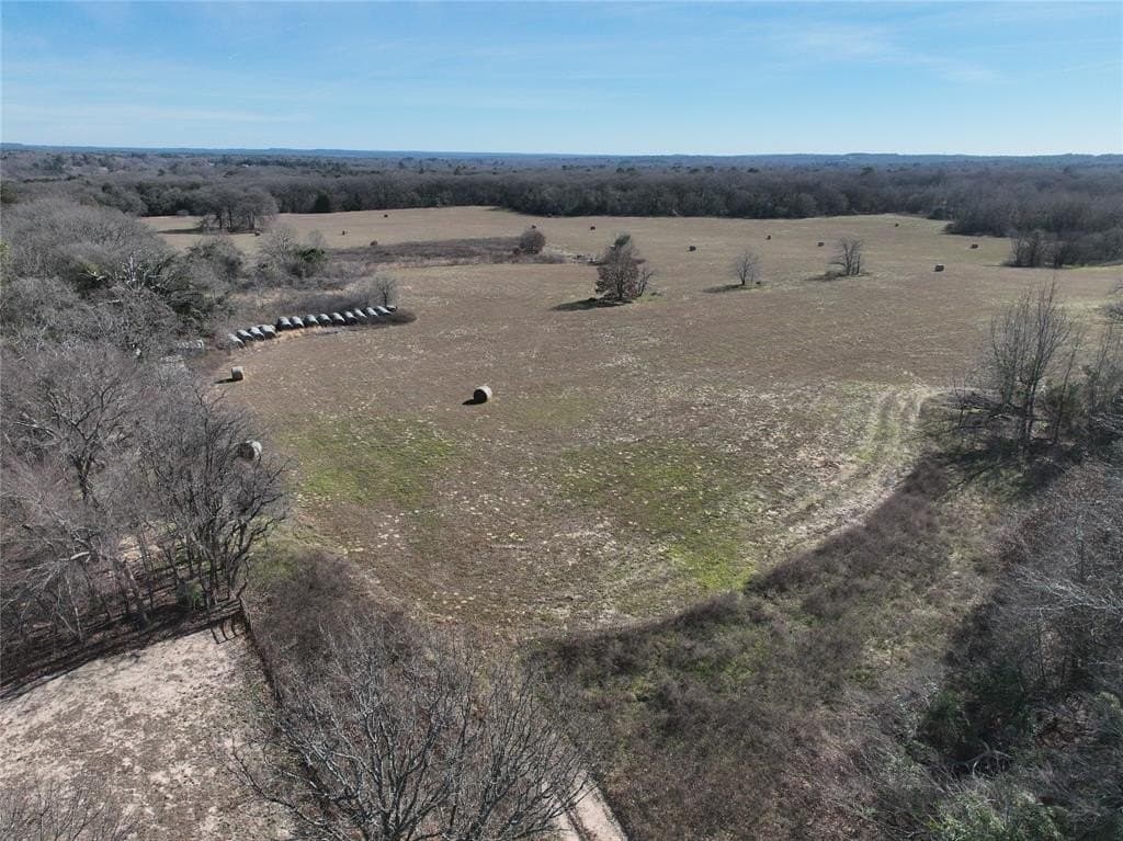 232.98 acres in Wood County - photo 12