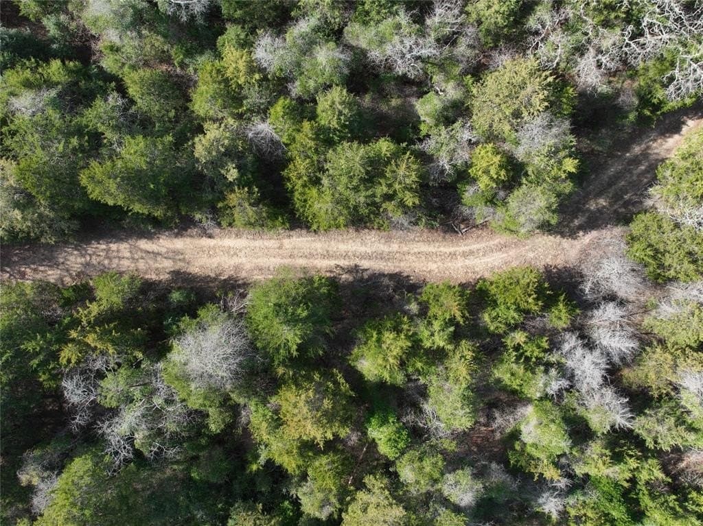 232.98 acres in Wood County - photo 7