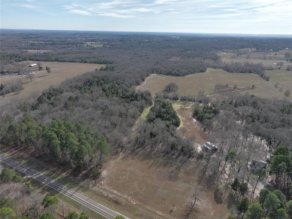 232.98 acres in Wood County - photo 3