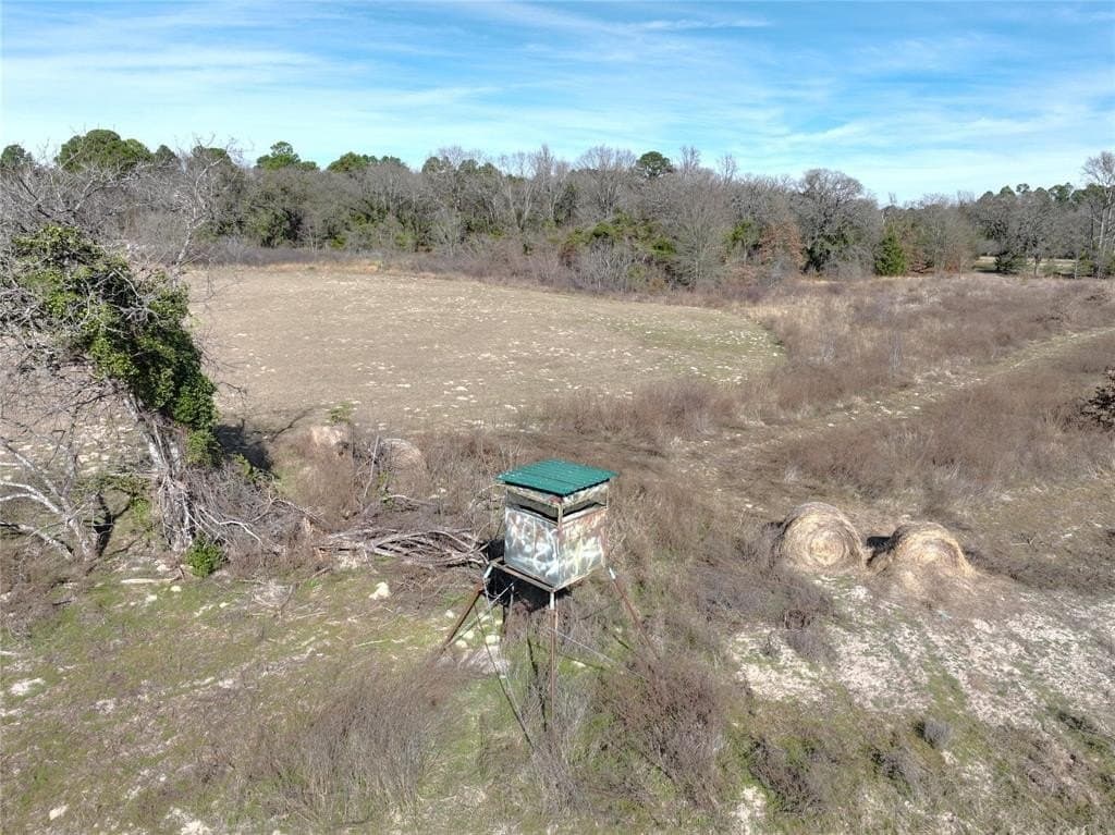 232.98 acres in Wood County - photo 10