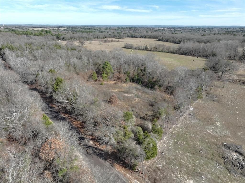 232.98 acres in Wood County - photo 16
