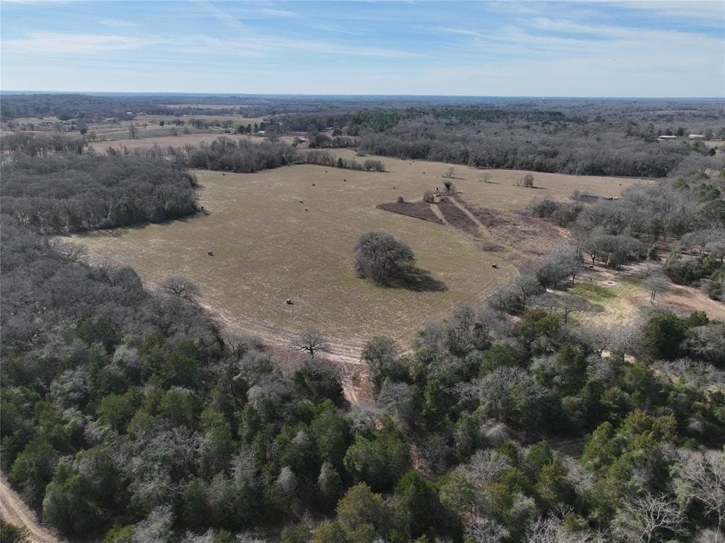 232.98 acres in Wood County - photo 20