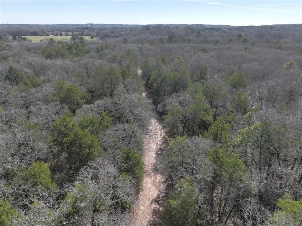 232.98 acres in Wood County - photo 18