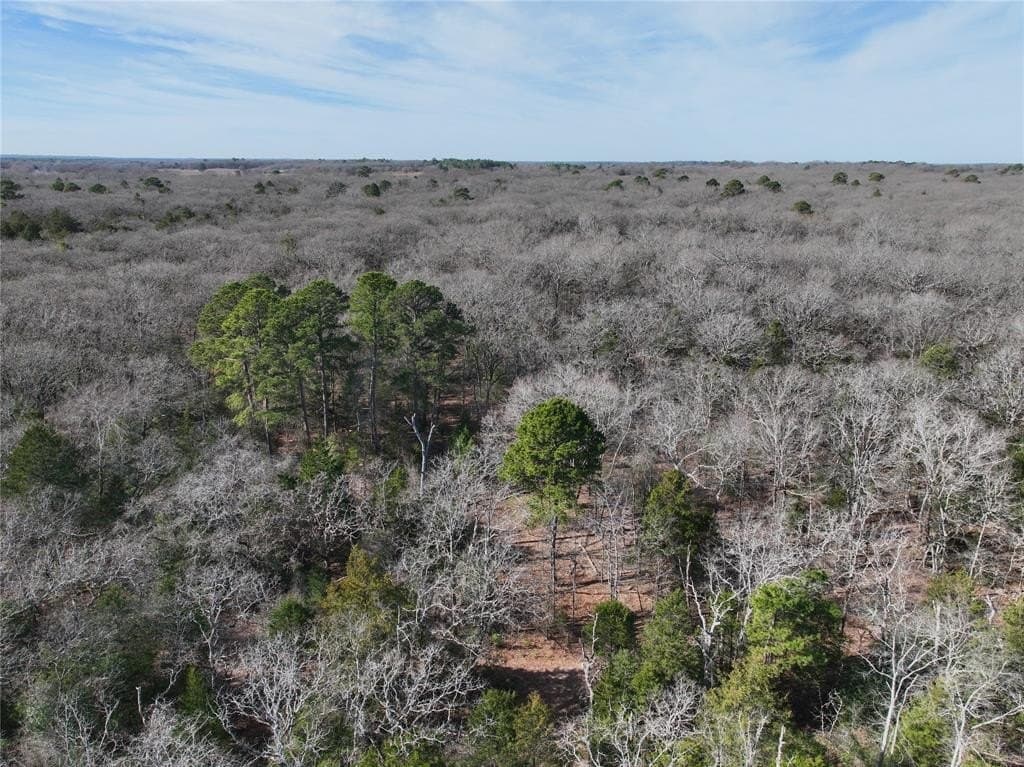 232.98 acres in Wood County - photo 19