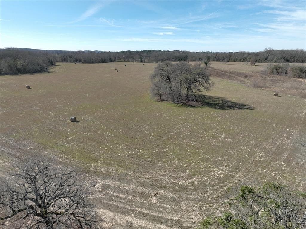 232.98 acres in Wood County - photo 8