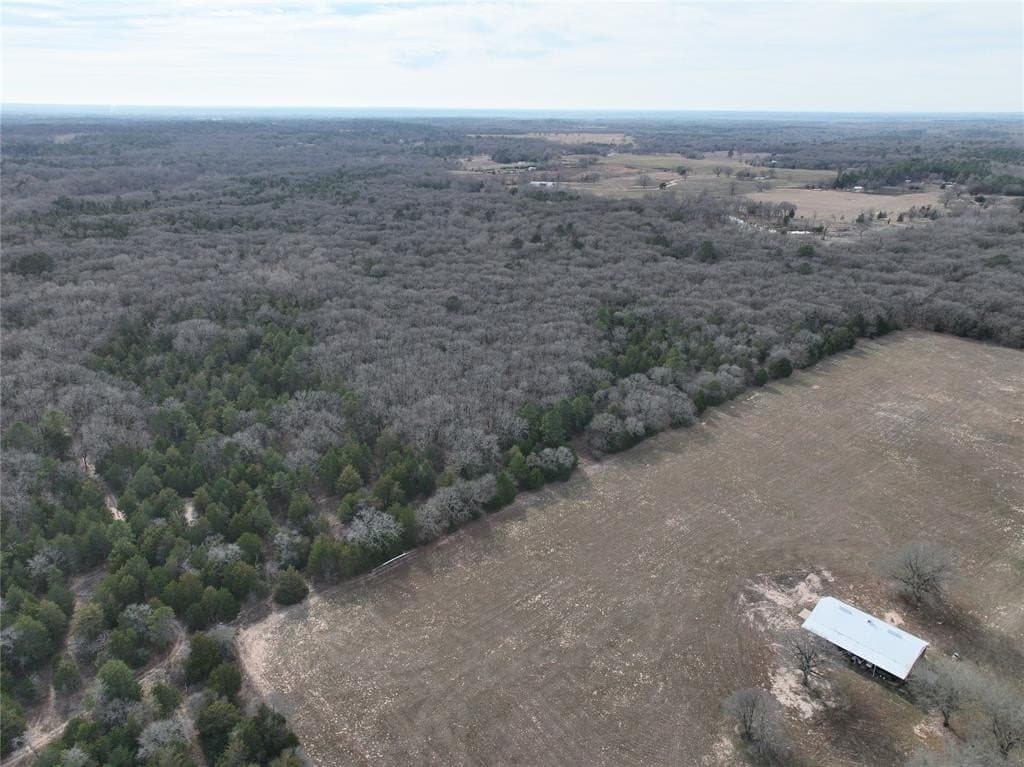 232.98 acres in Wood County - photo 32