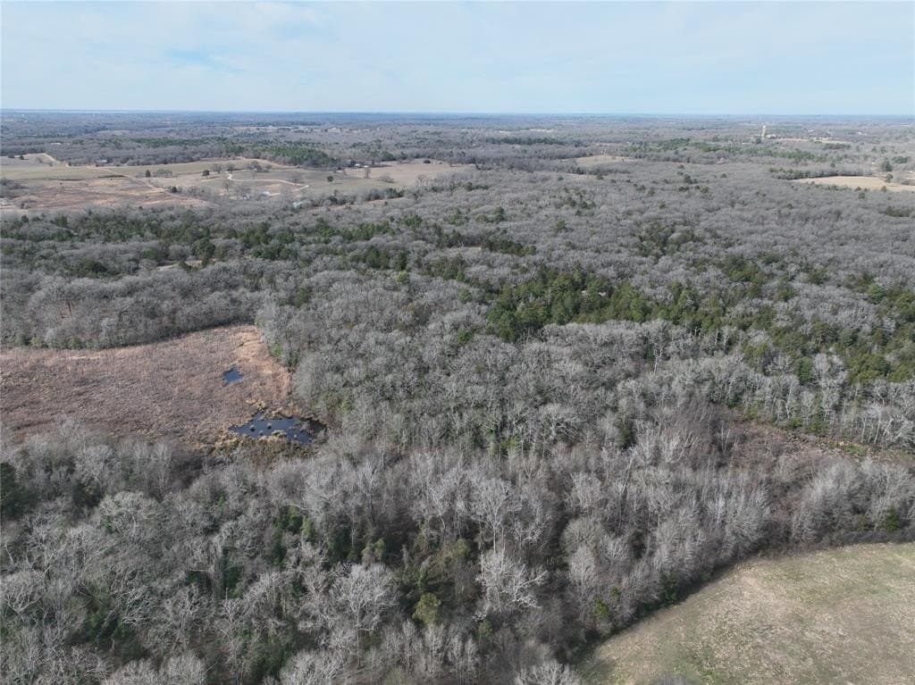 232.98 acres in Wood County - photo 29