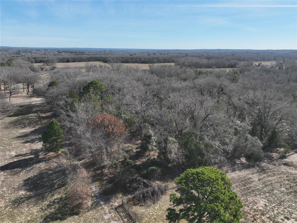 232.98 acres in Wood County - photo 15