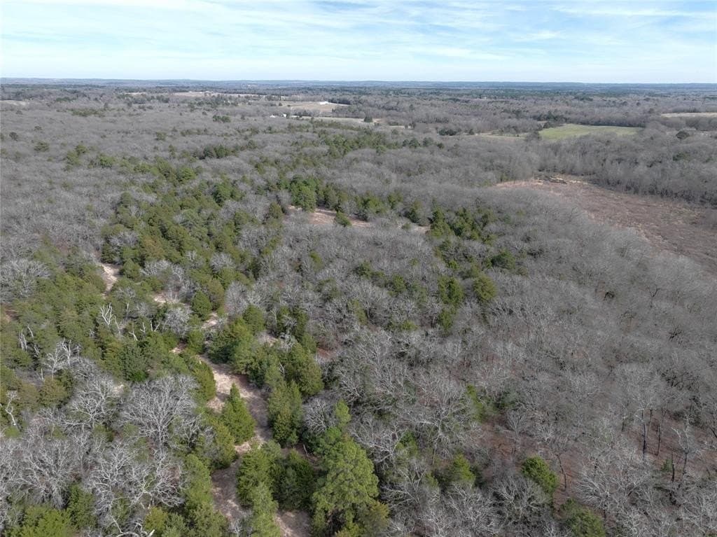 232.98 acres in Wood County - photo 25