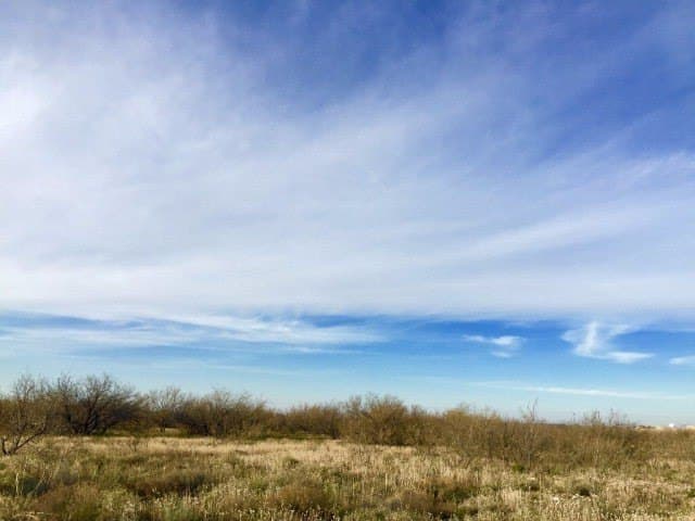 17 acres in Ward County - photo 4