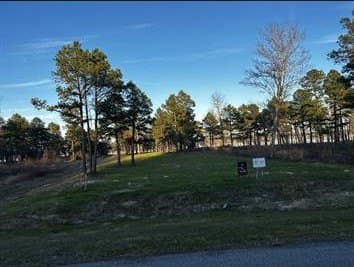 1.29 acres in Henderson County - photo 8
