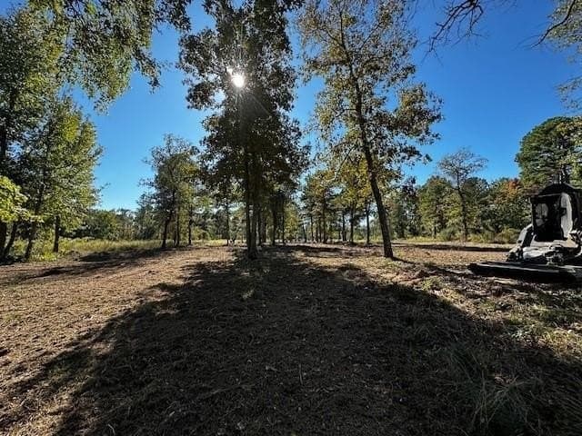 1.29 acres in Henderson County - photo 3