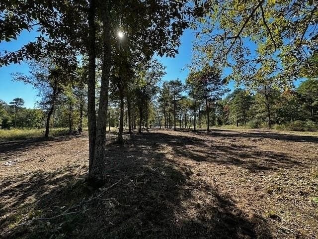 1.29 acres in Henderson County - photo 5