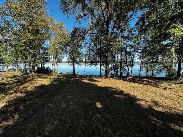 1.29 acres in Henderson County - photo 4