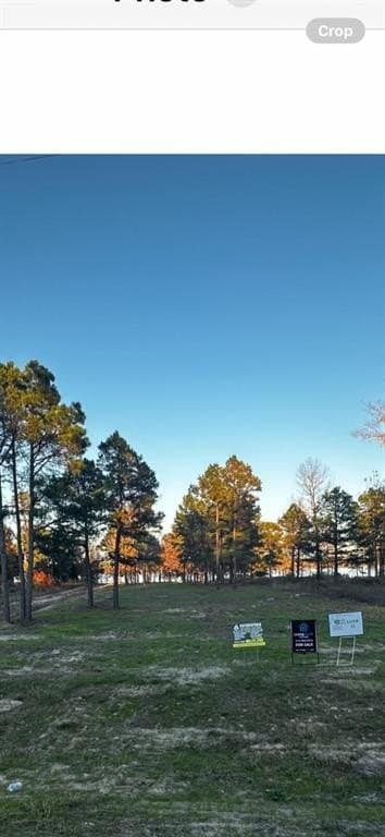 1.29 acres in Henderson County - photo 7