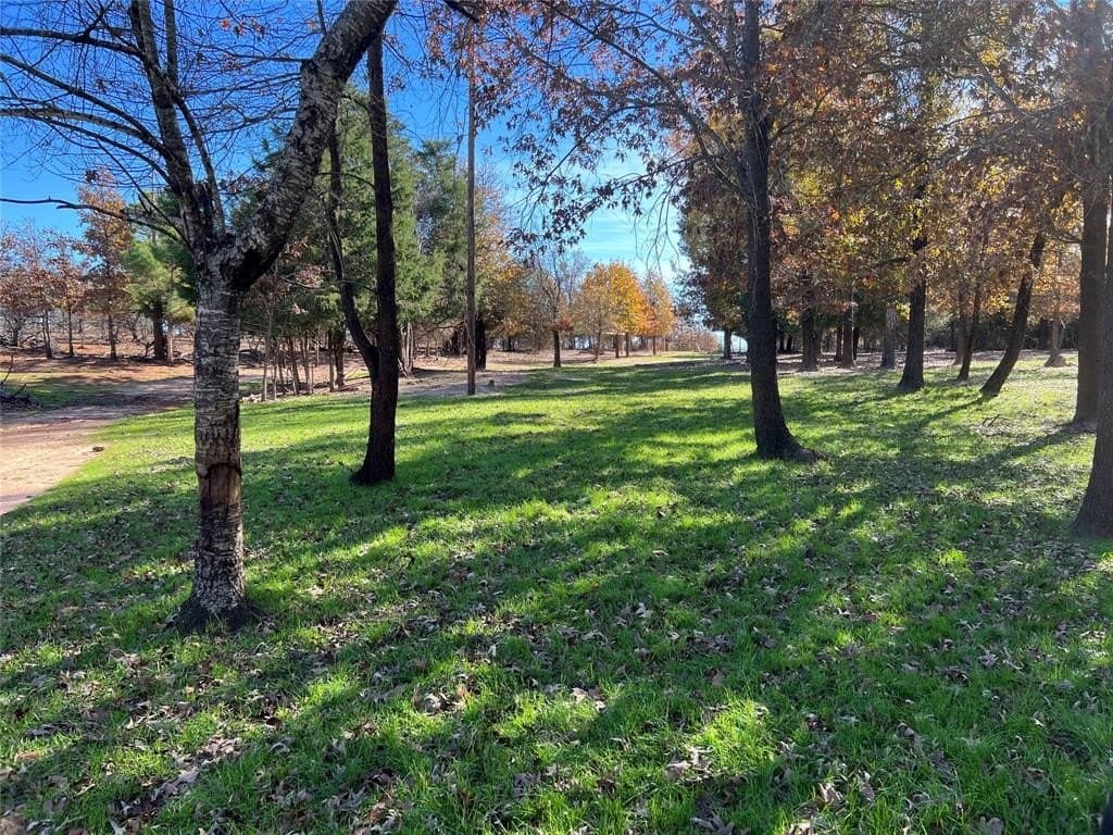 141.87 acres in Van Zandt County - photo 7