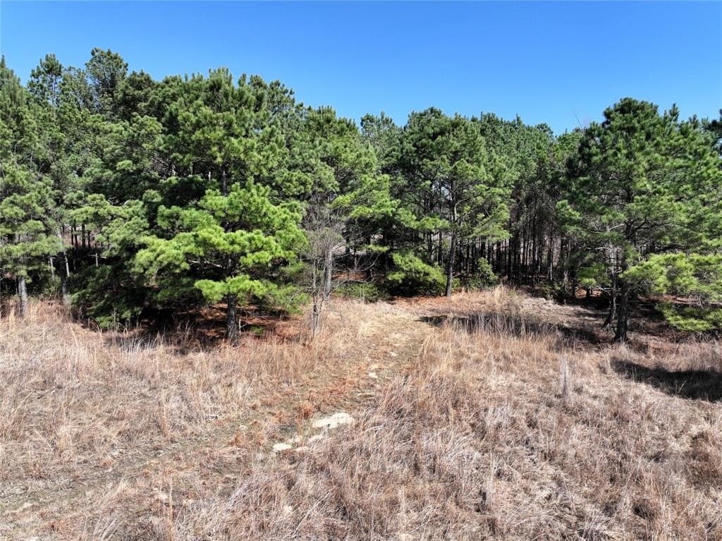 25.26 acres in Van Zandt County - photo 22
