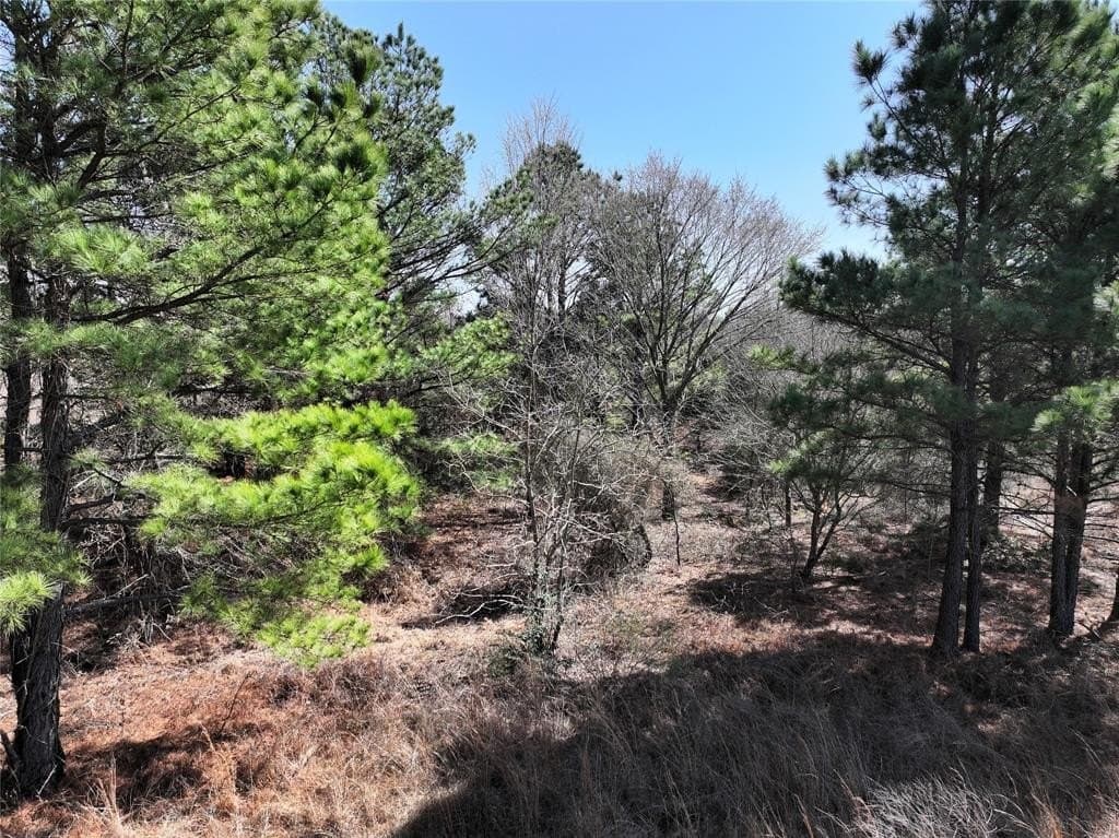 25.26 acres in Van Zandt County - photo 20