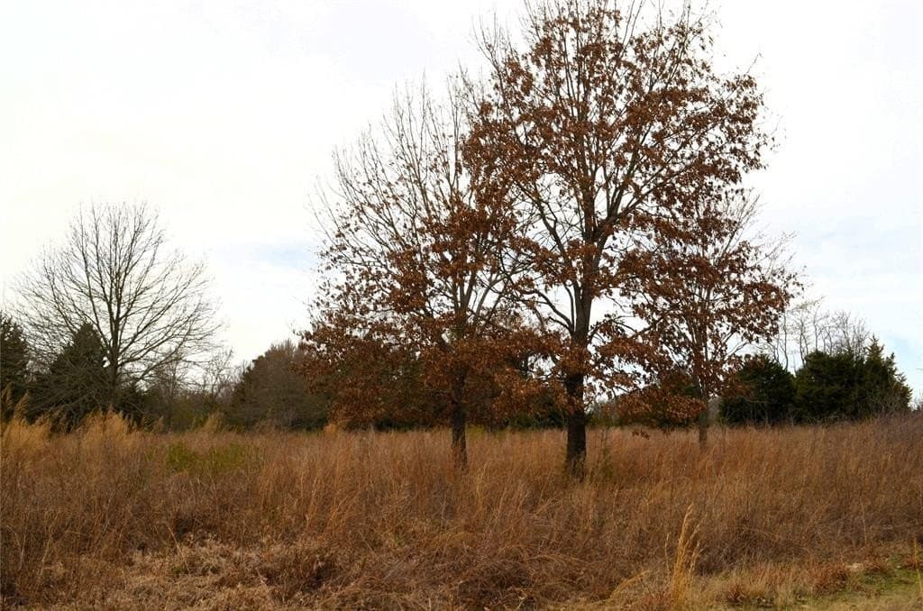 25.26 acres in Van Zandt County - photo 8