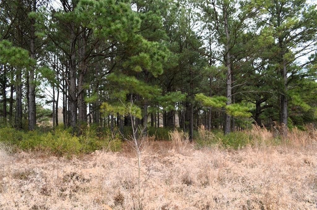 25.26 acres in Van Zandt County - photo 19