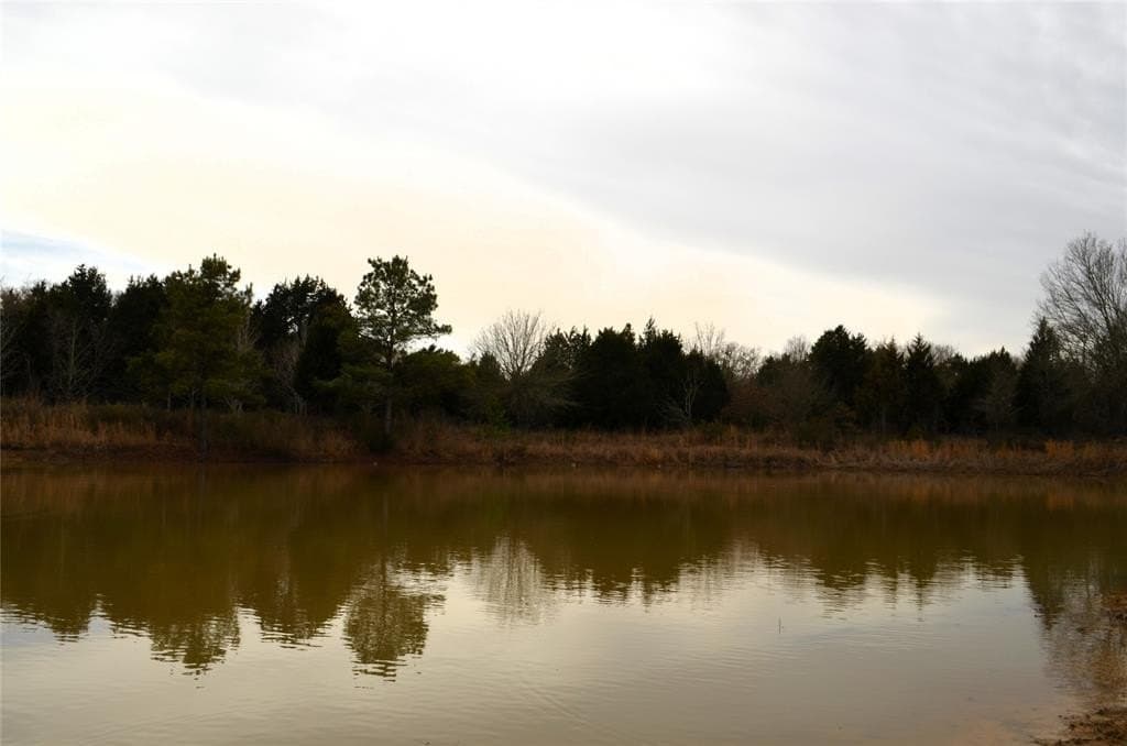 25.26 acres in Van Zandt County - photo 9