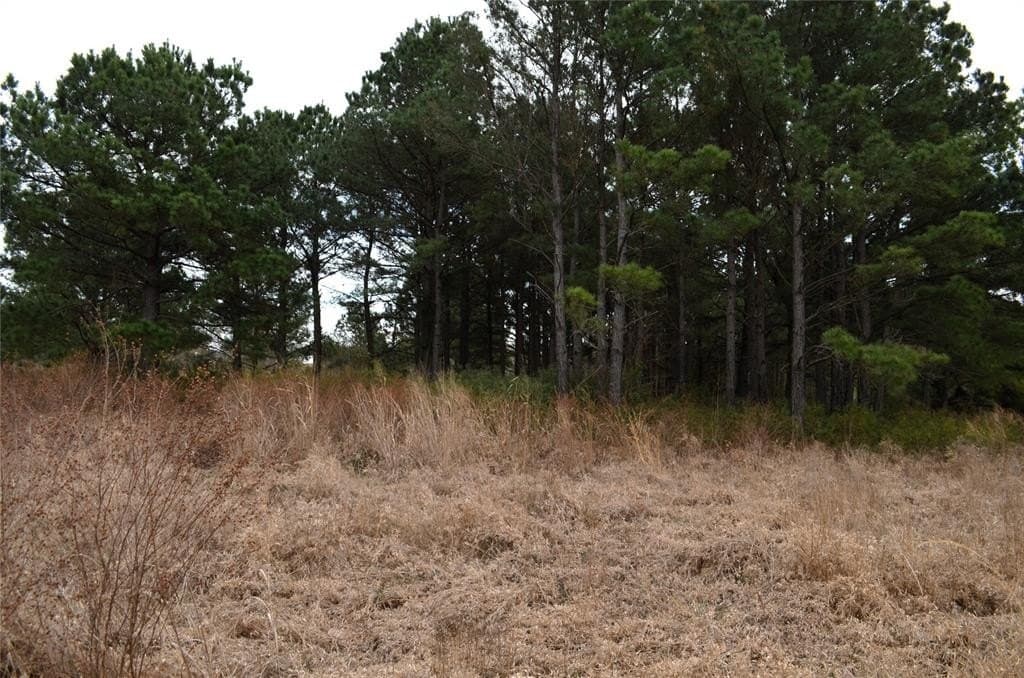 25.26 acres in Van Zandt County - photo 4