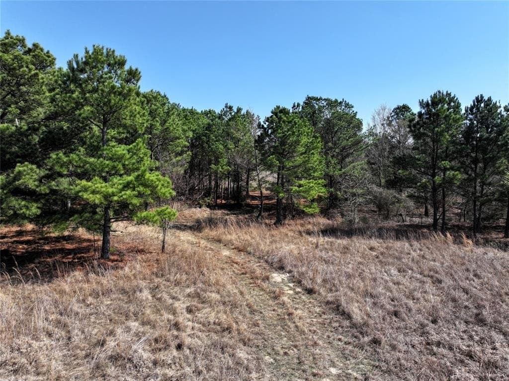 25.26 acres in Van Zandt County - photo 15