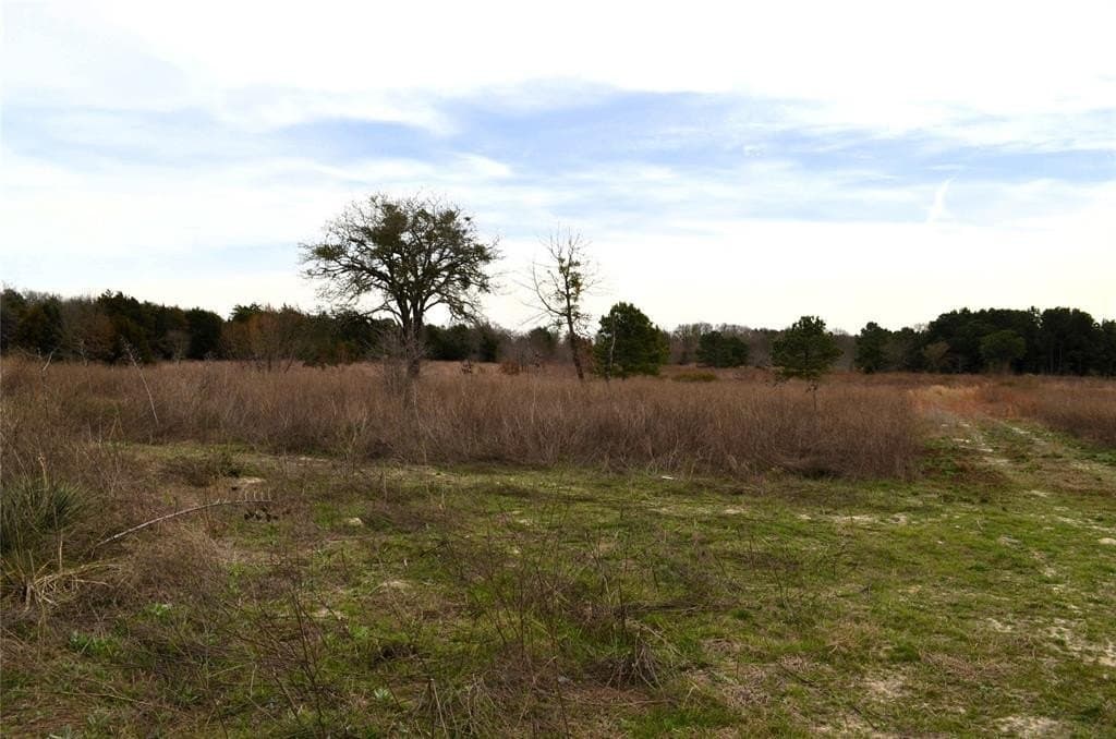 25.26 acres in Van Zandt County - photo 11