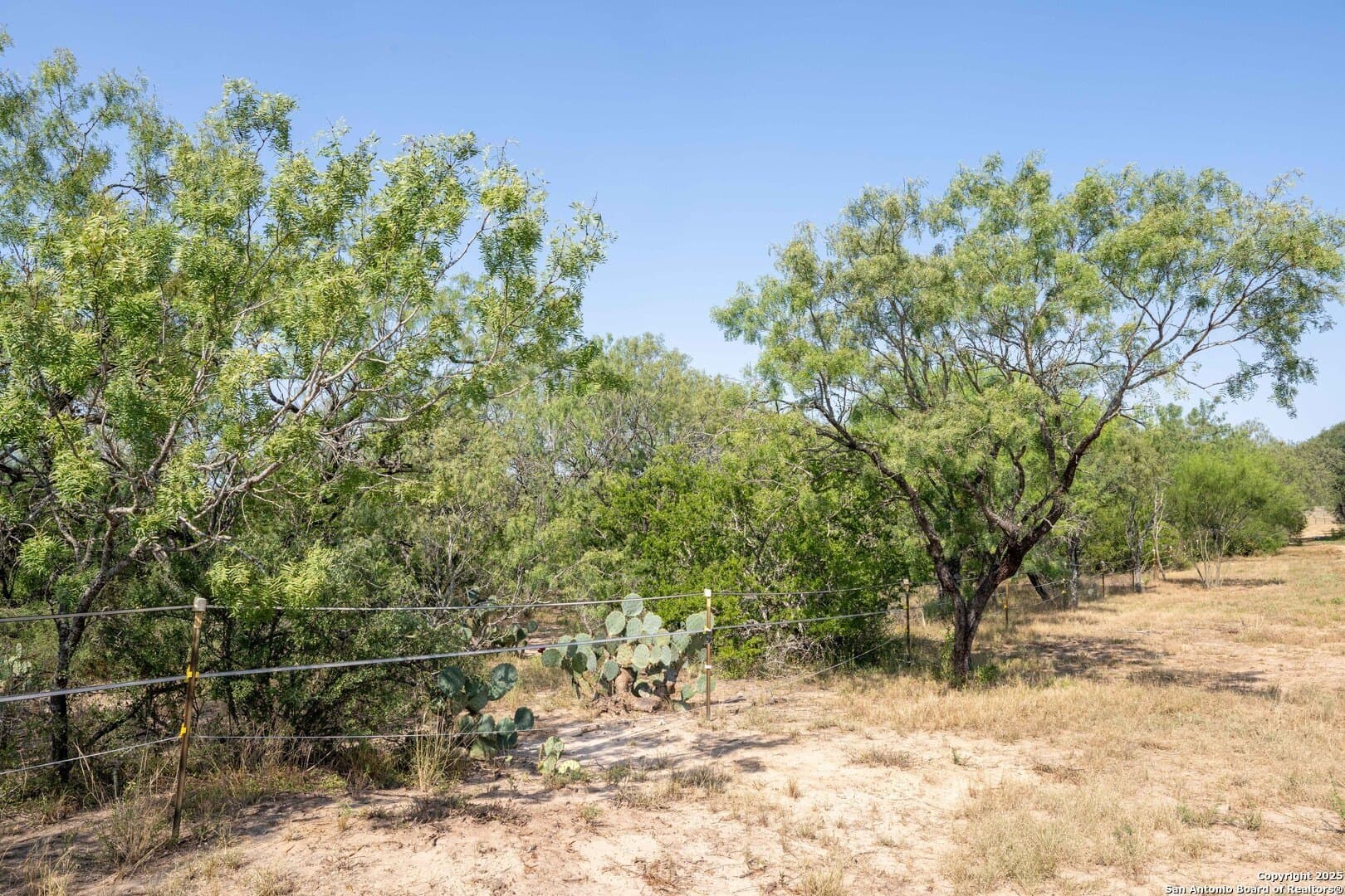 0 acres in Bexar County - photo 6