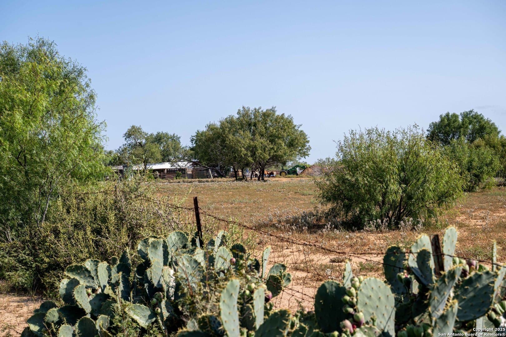 0 acres in Bexar County - photo 5