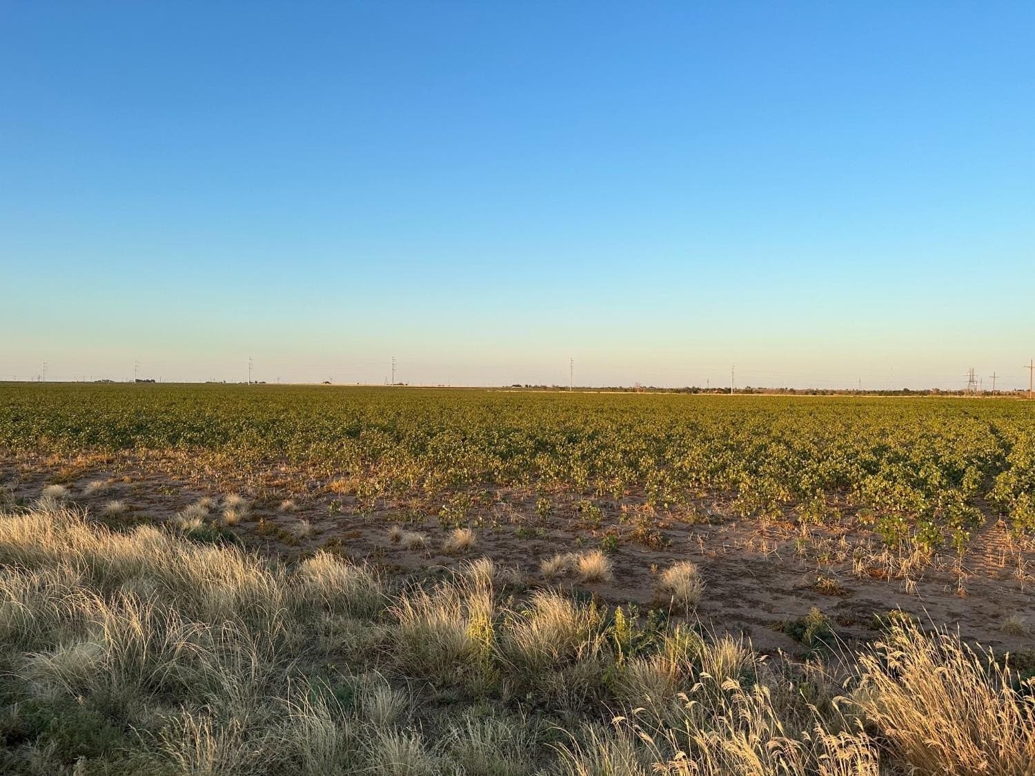 6 E County Road 5400