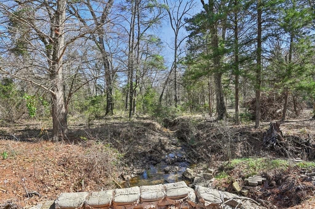 27.91 acres in Rains County - photo 22