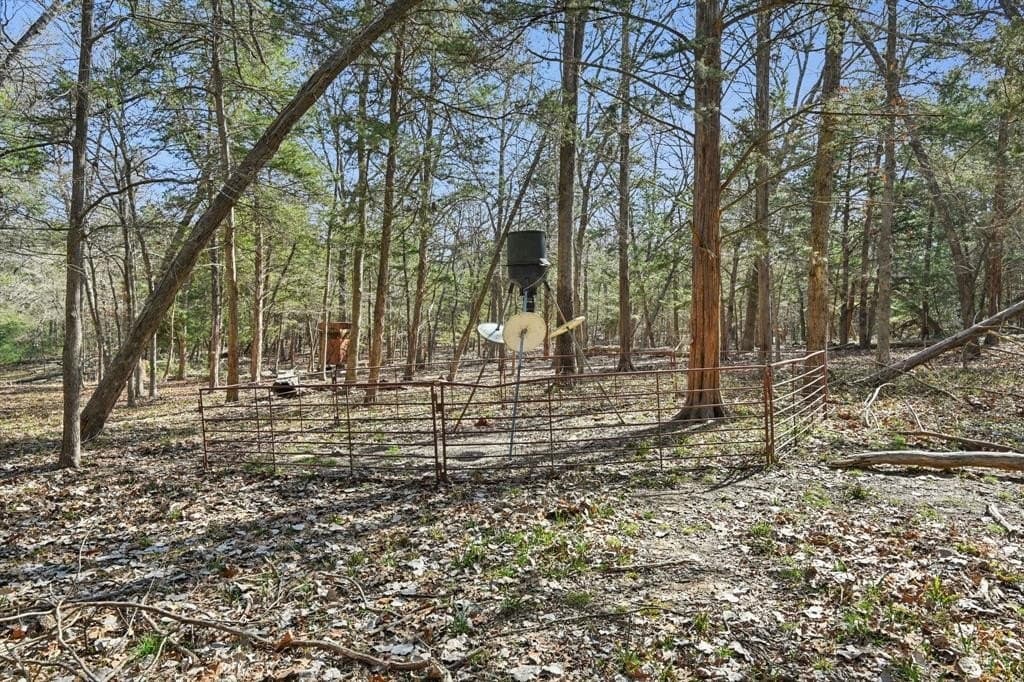 27.91 acres in Rains County - photo 20