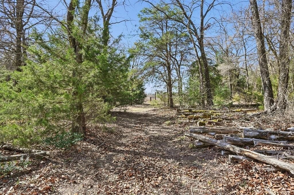 27.91 acres in Rains County - photo 30