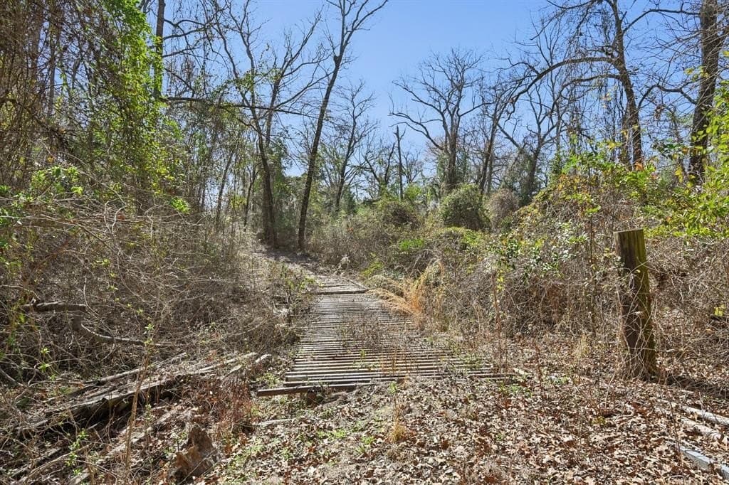 27.91 acres in Rains County - photo 29