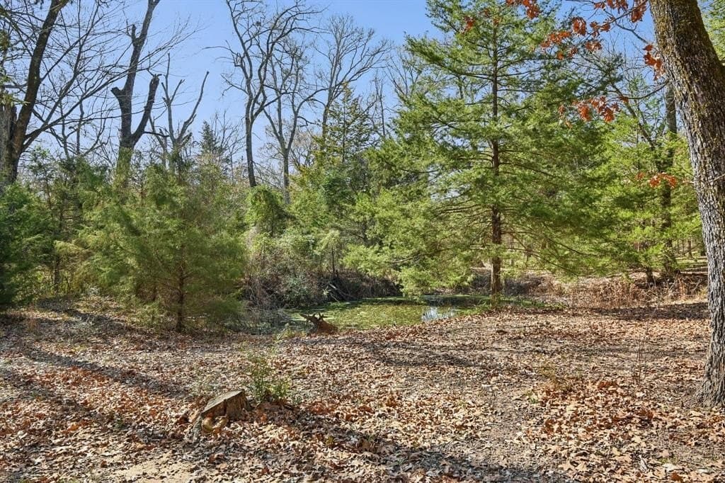 27.91 acres in Rains County - photo 25